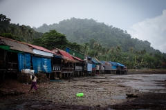 Crab-Market-2-1