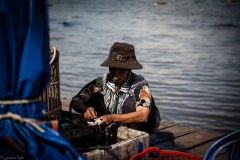 Crab-Market-2-10