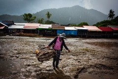 Crab-Market-2-4