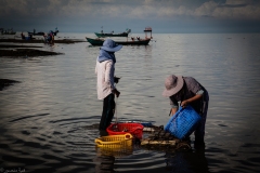 Crab-Market-2-6