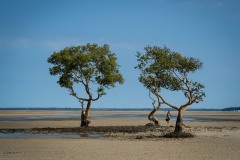 Maputo 2018